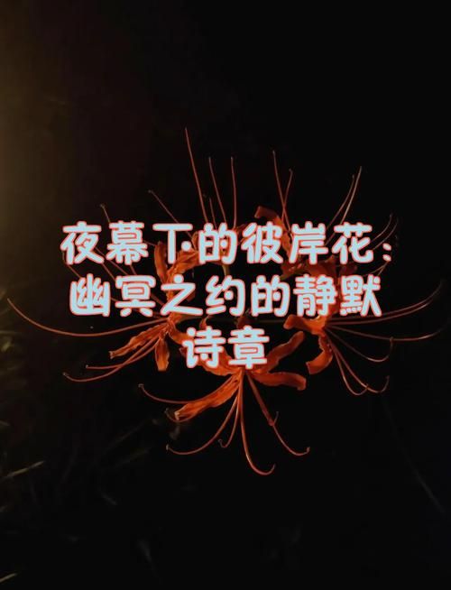 夜幕之花在哪下载 正版游戏下载渠道推荐