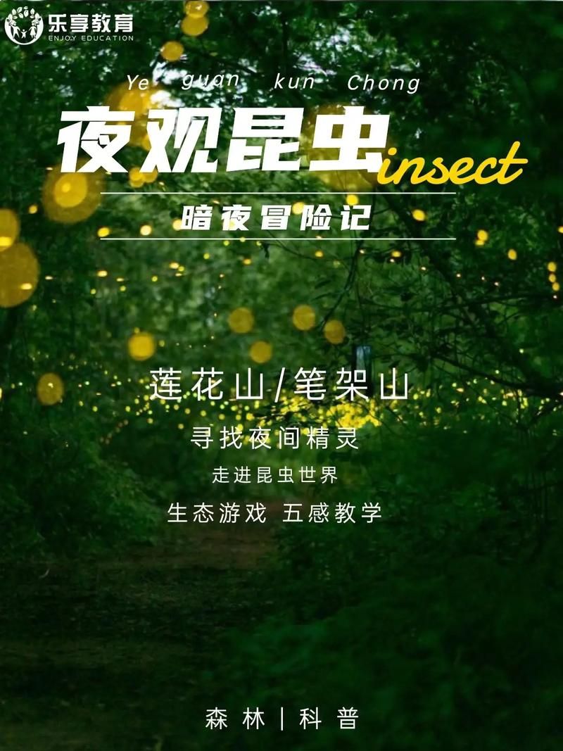 夜幕之花游戏介绍 带你探索神秘暗夜世界玩法 夜幕之花游戏介绍 带你探索神秘暗夜世界玩法