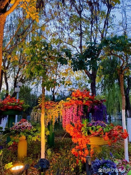 夜蒲觅爱绅士游戏有哪些 最受欢迎的夜场玩法推荐