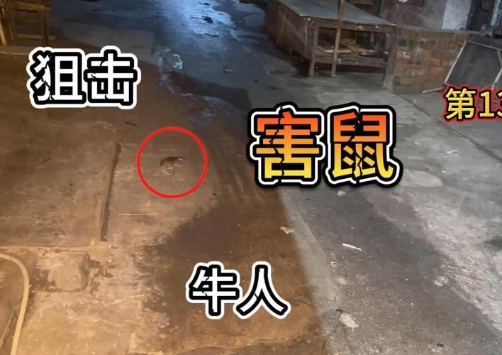 夜袭村禁忌实录官网揭秘 你不知道的乡村诡异事件