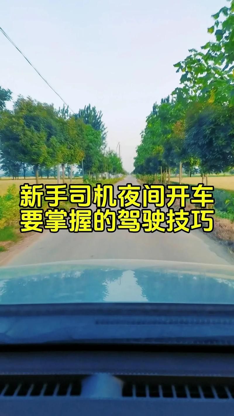 夜间司机安卓应用功能详解与驾驶体验评测 夜间司机安卓应用功能详解与驾驶体验评测