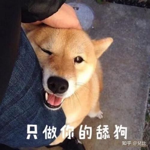 大兄弟官方网站最新入口地址分享快来收藏吧