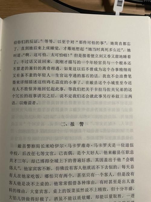 大兄弟精翻版本大全常见问题解决方法