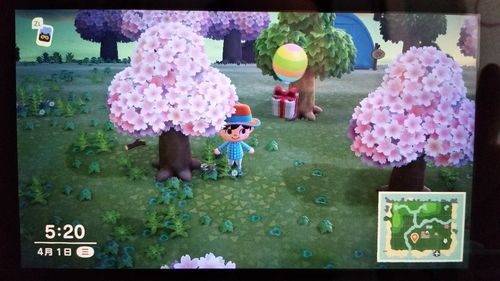 大和抚子游戏下载地址分享 最新版本一键获取