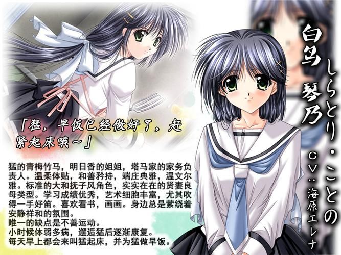 大和抚子游戏介绍 体验纯正和风少女剧情