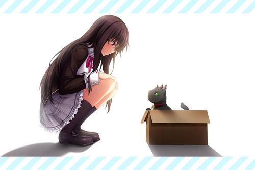 大和抚子游戏介绍 体验纯正和风少女剧情