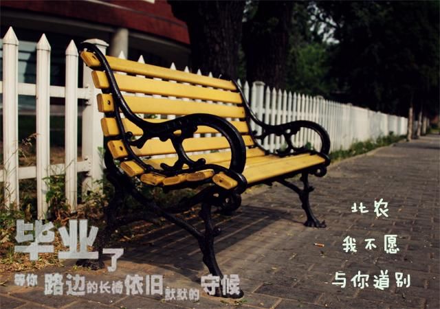 大学时光如何下载 毕业季必看的资料保存指南