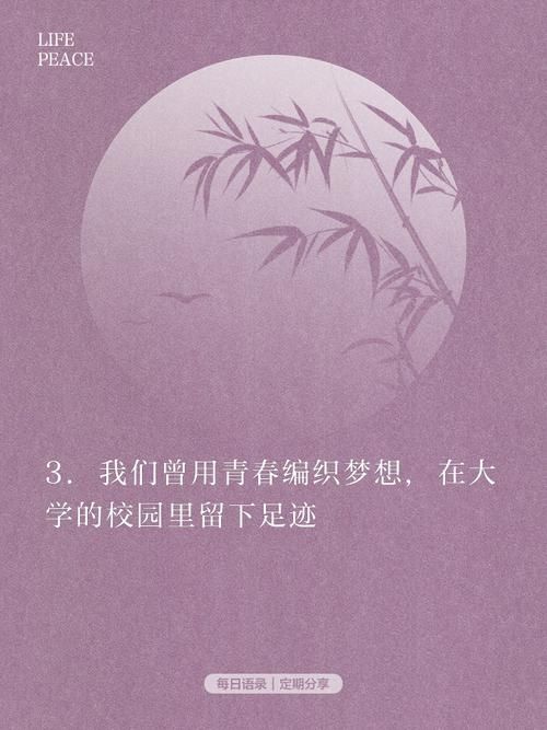 大学时光官网带你重温校园美好回忆