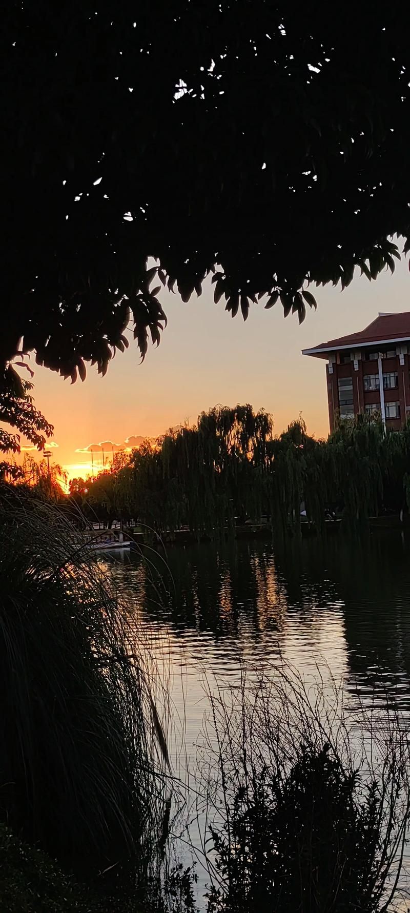 大学时光官网带你重温校园美好回忆