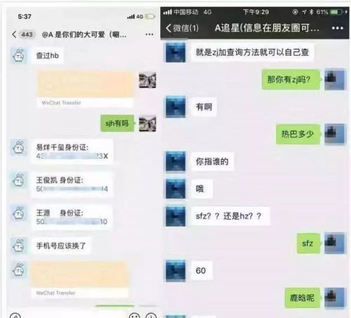 大学狂热在哪下载 国内可用稳定下载渠道推荐
