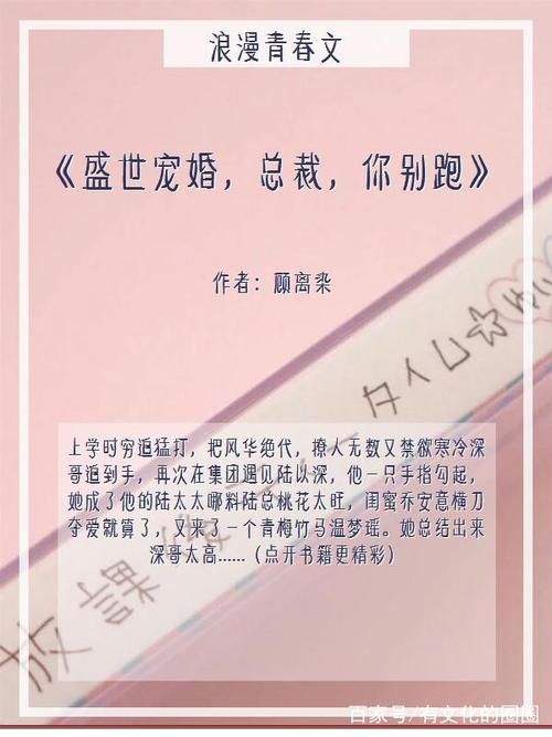 太太的恢复术夺爱篇游戏介绍 如何快速通关技巧