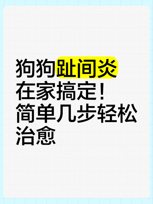失忆如何下载软件 简单几步轻松搞定