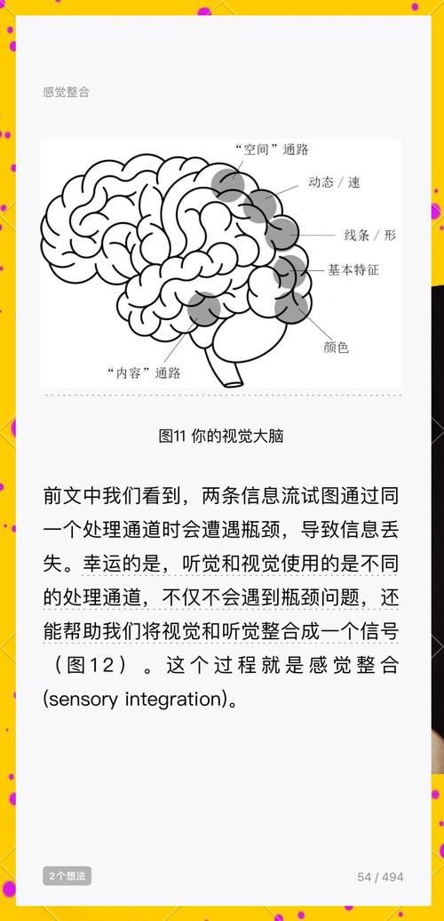失忆官方网站教你如何快速恢复记忆小妙招