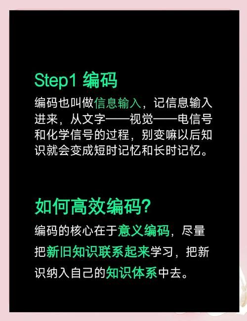失忆官方网站教你如何快速恢复记忆小妙招