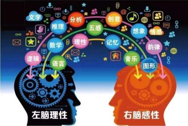 失忆官网实用工具 帮助记忆训练的小技巧大全