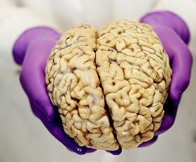 失忆最新研究进展 科学家发现恢复记忆新方法