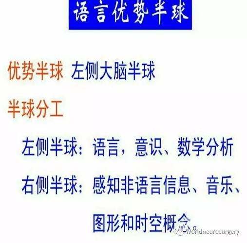 失忆症最新研究进展 专家解读记忆恢复新方法