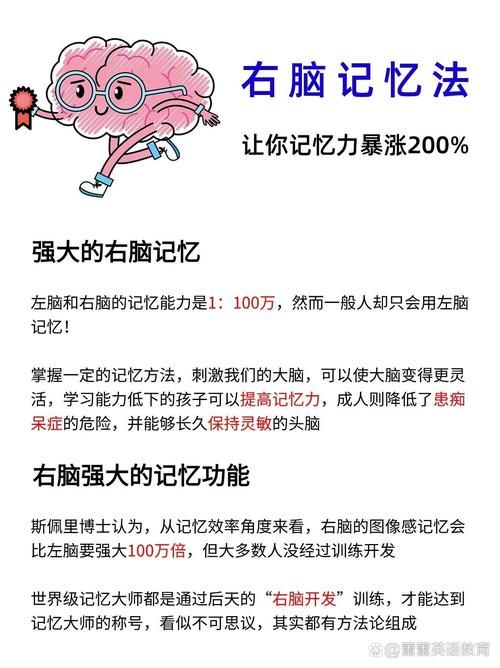 失忆症最新研究进展 专家解读记忆恢复新方法