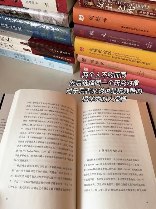 失落的月亮如何下载 详细步骤解析