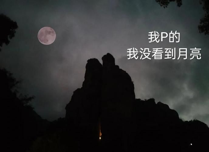 失落的月亮安卓与其他版本对比 哪个更好玩