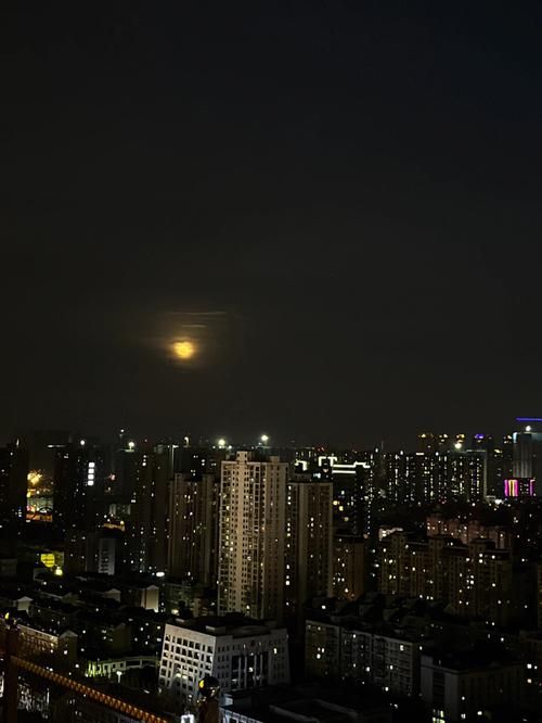 失落的月亮手机版下载地址 无需注册直接玩