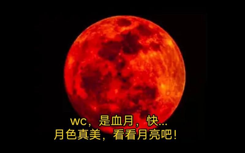 失落的月亮最新一集更新 精彩看点不容错过赶紧来看