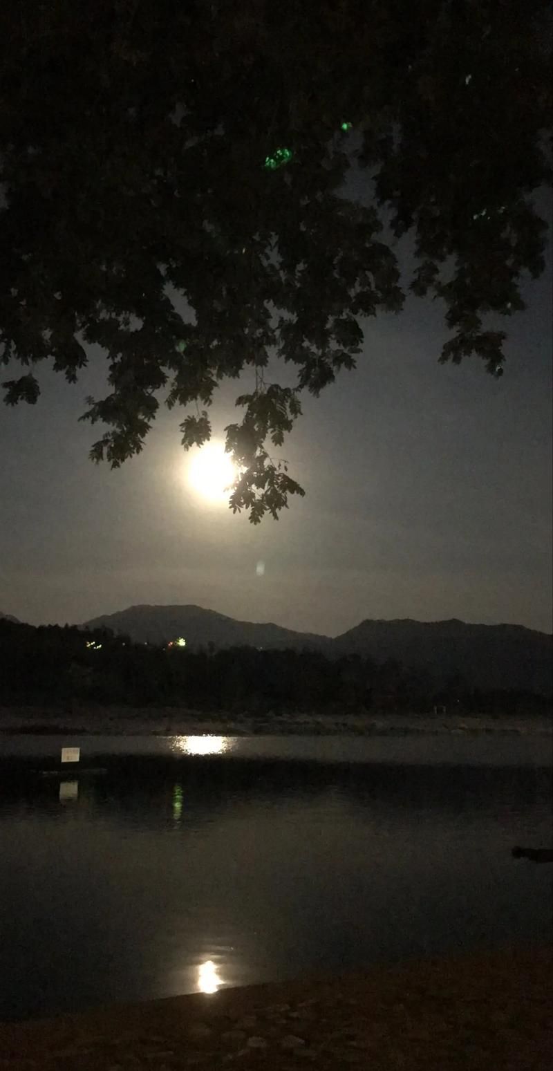 失落的月亮最新一集更新 精彩看点不容错过赶紧来看