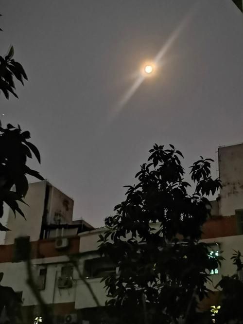 失落的月亮最新一集更新 精彩看点不容错过赶紧来看