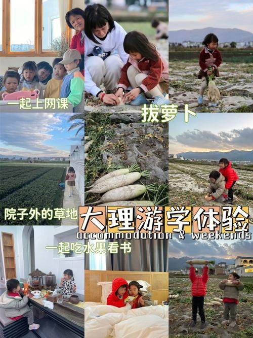 奉仕部活入部体验篇官网详细流程介绍