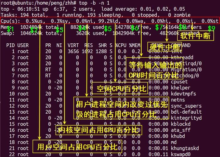 奉献的困境下载地址分享 最新资源一键获取