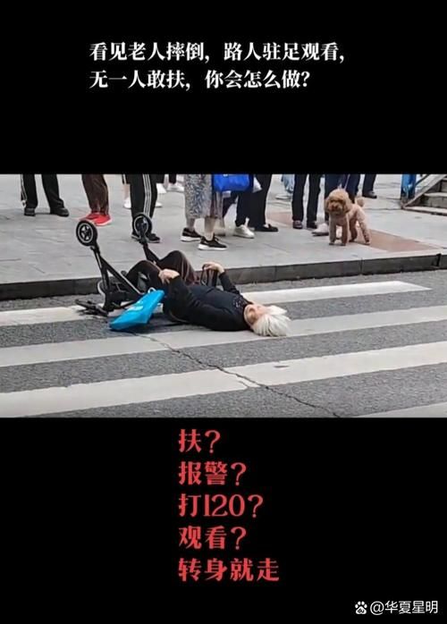 奉献的困境最新版本来了 看看这次更新了哪些现实问题