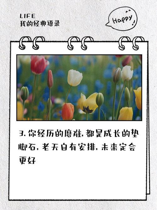 奉献的困境版本大全 教你识别并应对各类奉献难题