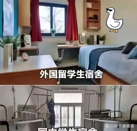 奥克伍德魔法学校最新招生简章出炉快来了解入学条件