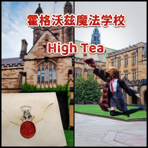 奥克伍德魔法学校汉化版最新版本更新详情