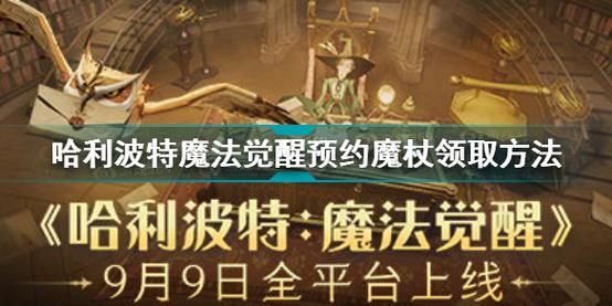 奥克伍德魔法学校游戏攻略 新手必看入门技巧大全