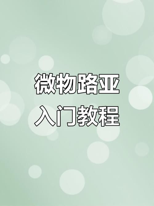 奥秘学园安卓游戏攻略 新手必看的入门技巧分享