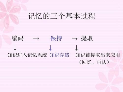 奥秘学园官方网站学习资源下载与使用指南
