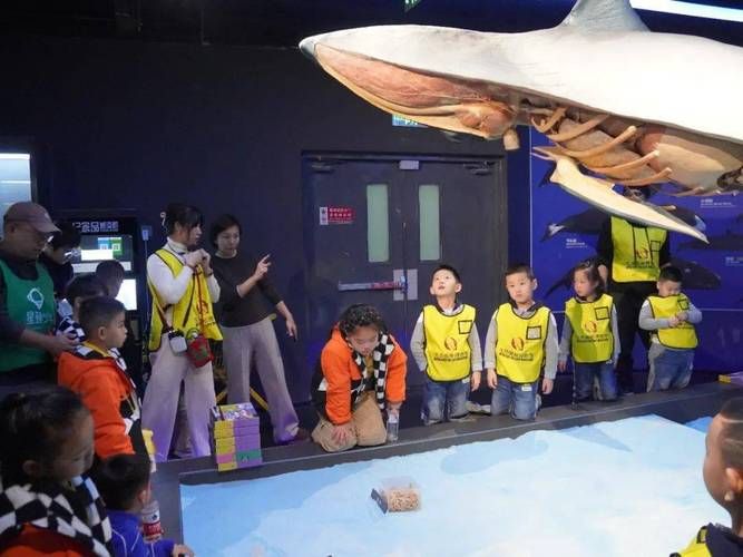 奥秘学园最新版本评测看看值不值得玩
