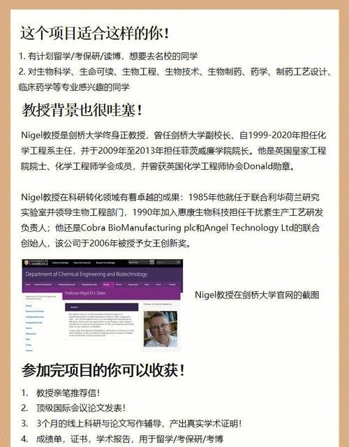 奥秘学园汉化版下载 完整中文剧情体验指南