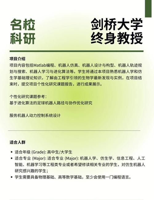 奥秘学园汉化版下载 完整中文剧情体验指南