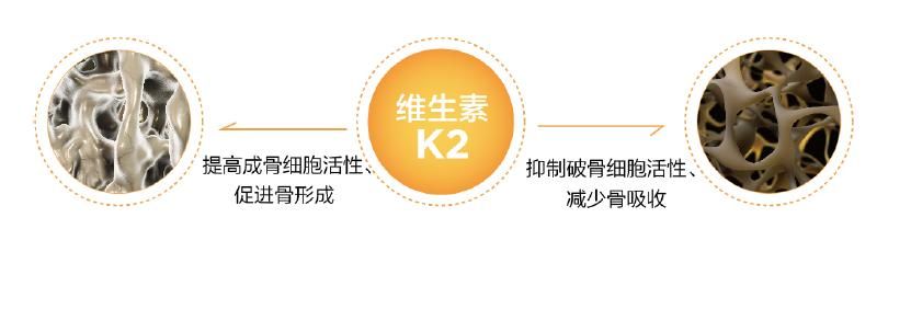 奥雷利亚Aurelia官网最新产品信息一网打尽