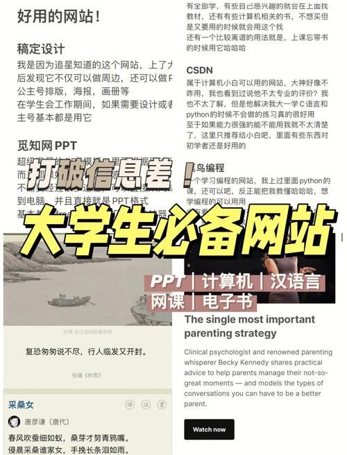 女大学生沉迷官方网站影响学业 辅导员分享干预经验