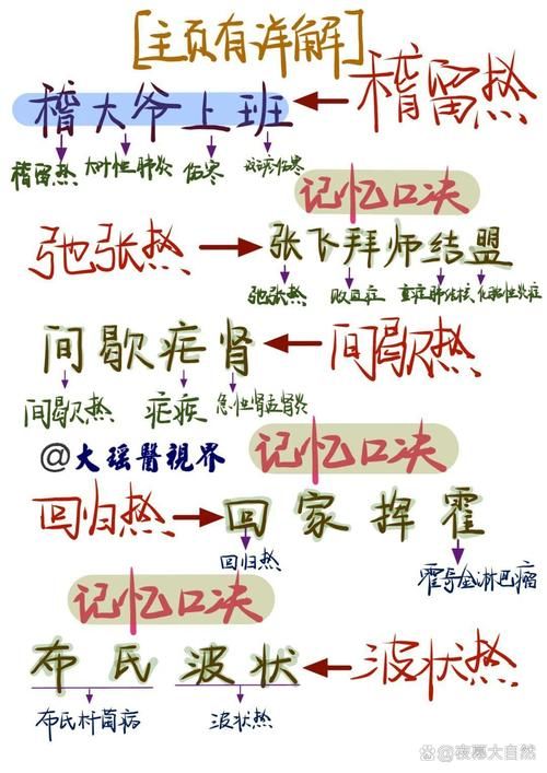 女学生鉴别学下载指南 快速获取资源技巧