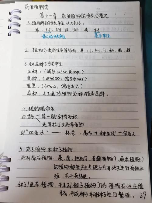 女学生鉴别学下载指南 快速获取资源技巧