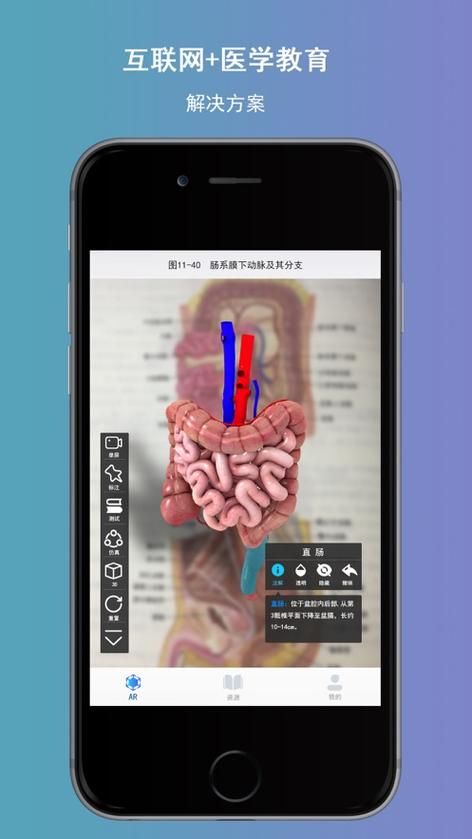 女学生鉴别学安卓app下载 真假学生一秒分辨