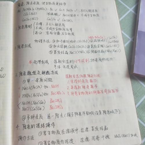 女学生鉴别学官网最新鉴别技巧大公开