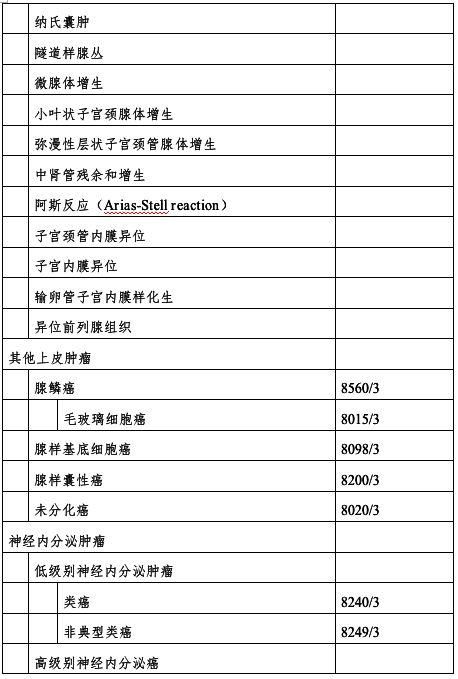 女学生鉴别学最新版本号是多少 如何下载