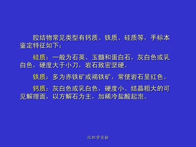女学生鉴别学最新版本如何提升鉴别能力