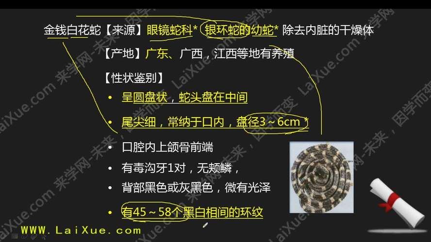 女学生鉴别学最新版本如何提升鉴别能力