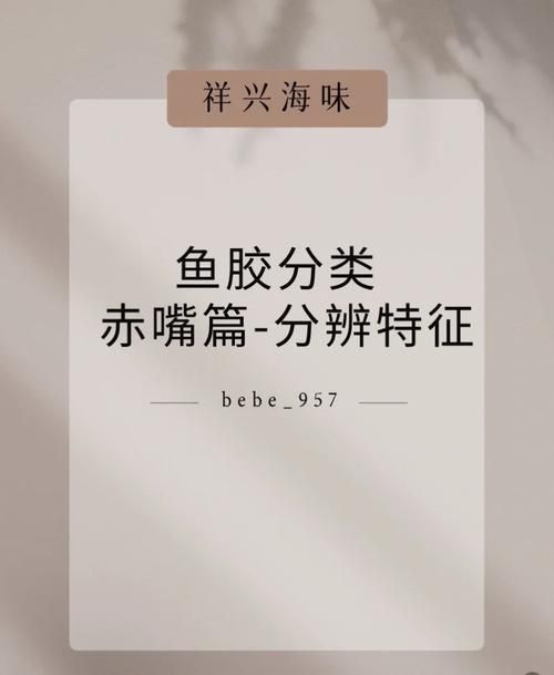 女学生鉴别学汉化版最新更新内容详解 快来看看